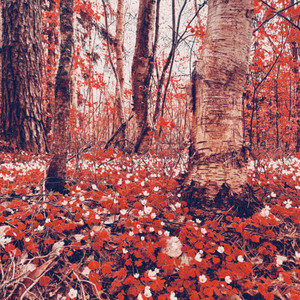 Духи с запахом тебя