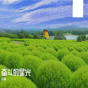 无畏的翅膀