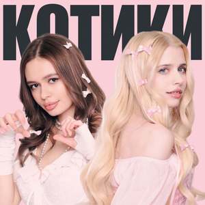 Котики