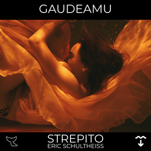 Gaudeamu