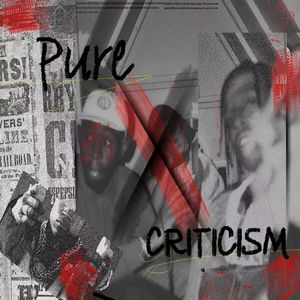 纯正批判Pure Criticism