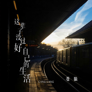 这辈子没过好自己的生活