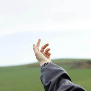 तेरे वादे को हल्के न लिया