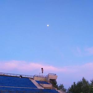 你是我的小星星