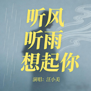 听风听雨想起你