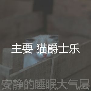 安静的猫在家声音