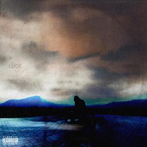 Luce Anima