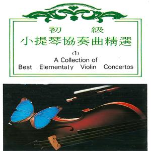 巴克拉诺娃 D小调协奏曲