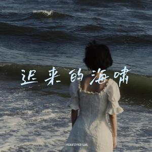 迟来的海啸