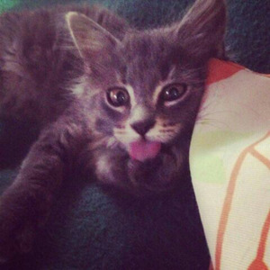 what if she already knows everything