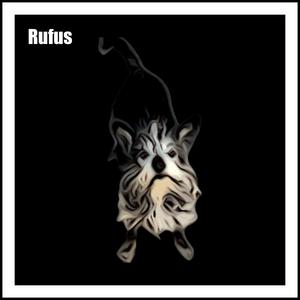 Rufus