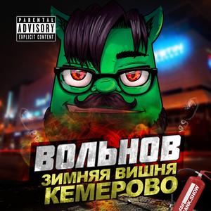 Врач кемеровской скорой признался во всем Вольнову