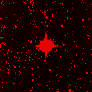 Supernova