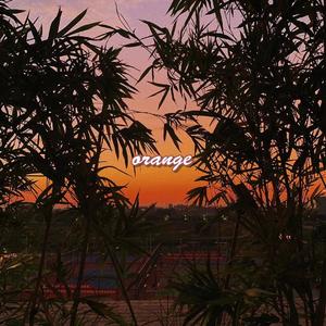 落日弥漫的橘（prod by ZS beatz)