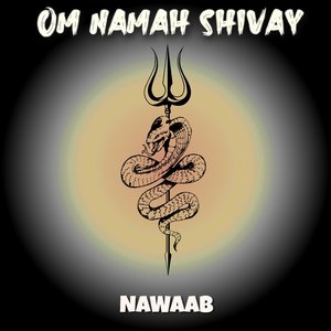 Om Namah Shivay