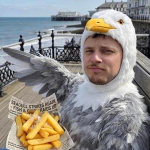 Chips