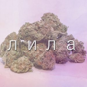 Wunderschönes Leben