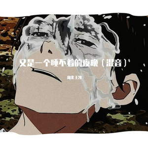 又是一个睡不着的夜晚（混音）（翻自 一口一斤猪肉）