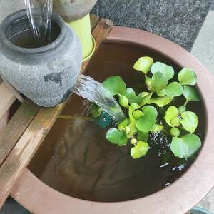 难道真的就这样了吗