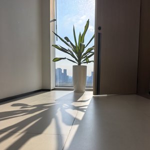科韵路3846房.wav