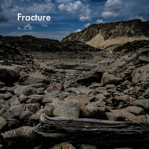Fracture