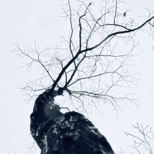 离别又逢雨天（ remix）