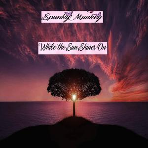 While the Sun Shines On