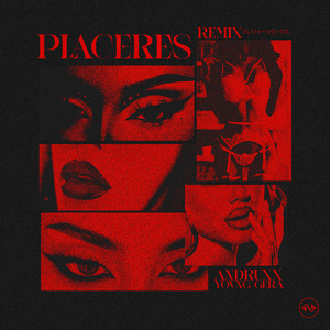 Placeres (REMIX)