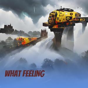 What Feeling
