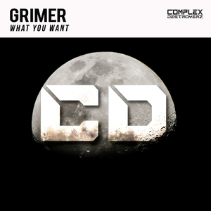 What You Want (Original Mix)