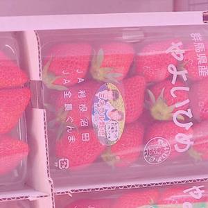 黄金鱼♡