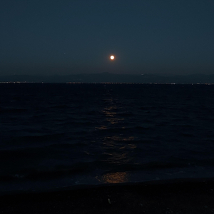 Thyrsus