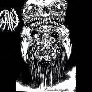 Craquelure Scholarly Procedure