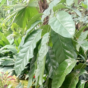 Kemalaman di rumah mu