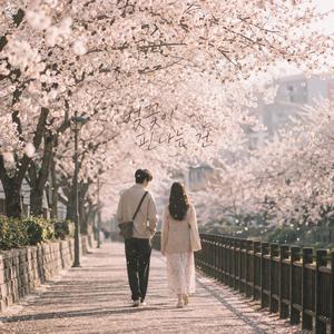 벚꽃이 핀다는 건.