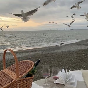 IMV_Screenshots_20260225-152005.wav