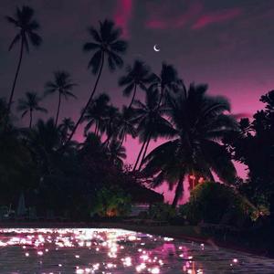 - 今夜星沉轻舟 却把月色长留