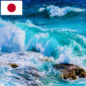 岩の上の海の波の音