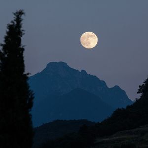 フライディ・チャイナタウン