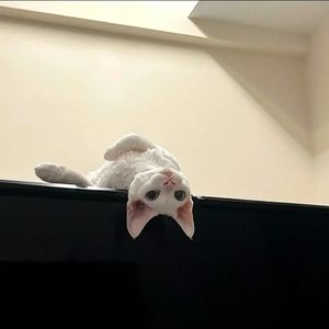 什么（要说什么话会比较甜）