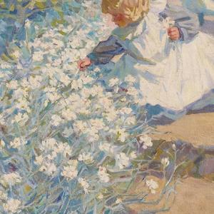 玫瑰（翻自 陈智凌）