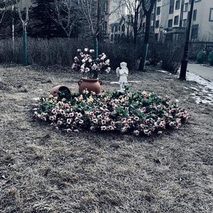 三毛同学-Life Trip（Peter Neiga / Charmy常淇萌 remix）