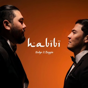 Habibi