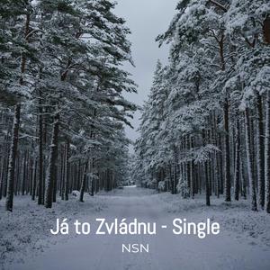 Já to Zvládnu