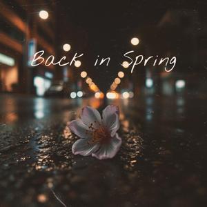 Back in Spring
