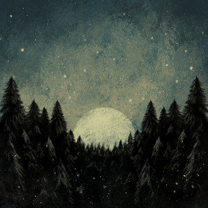 Der Fackel Schein... In stiller Nacht