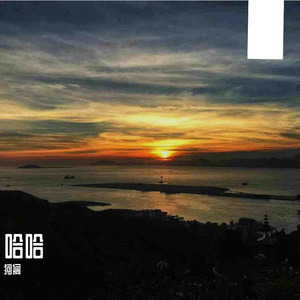太聪明