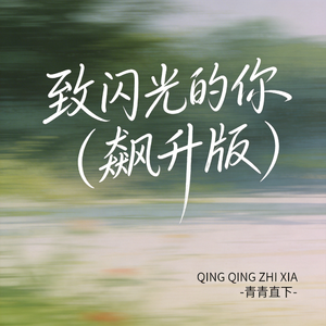 致闪光的你（飙升版）