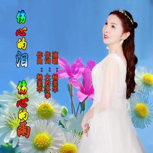 伤心的泪伤心的雨 (伴奏)