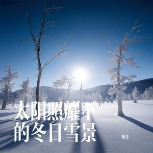 太阳照耀下的冬日雪景
